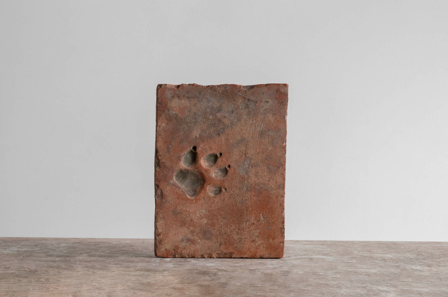 HUELLA DE TERRACOTA