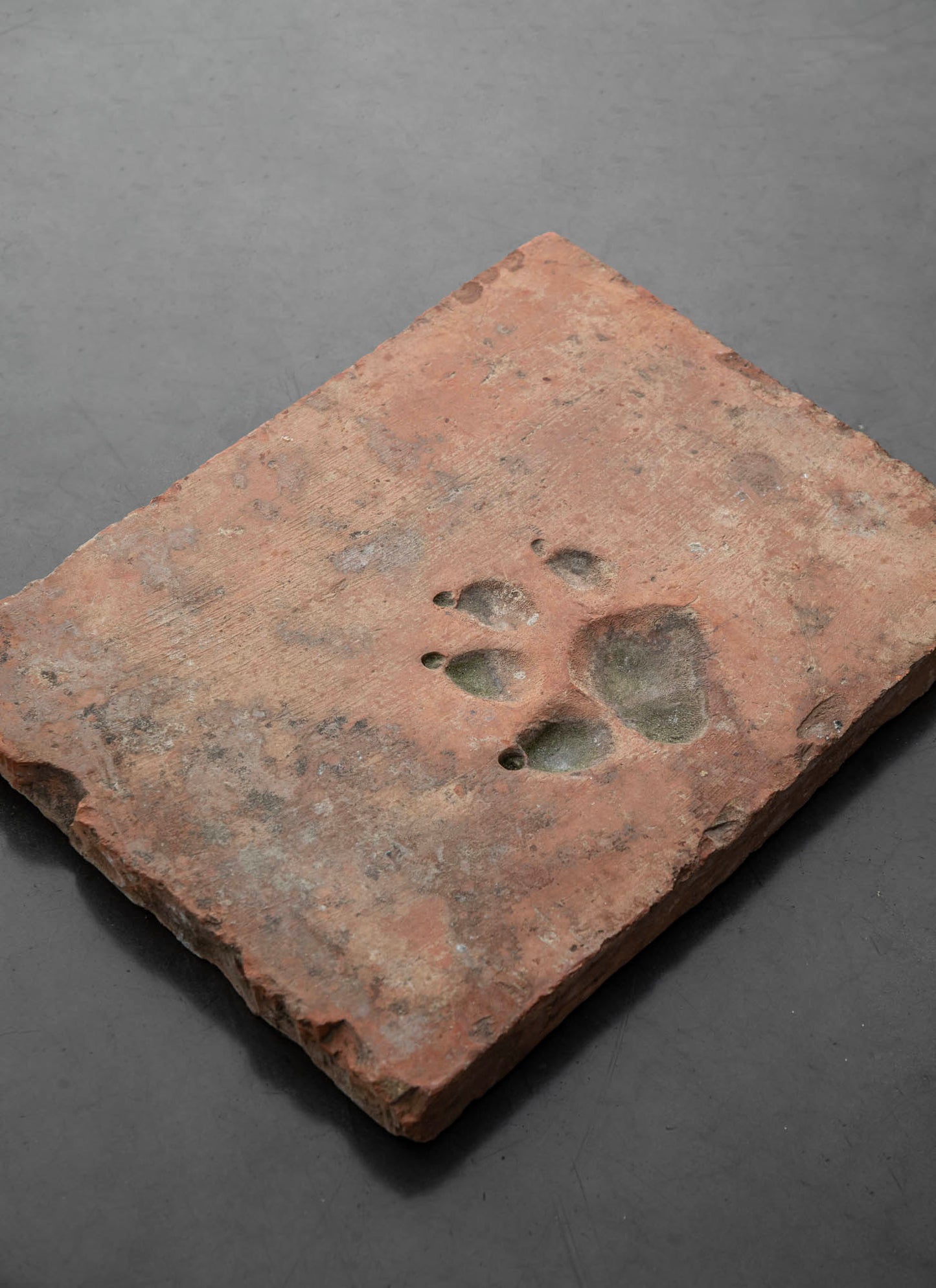 HUELLA DE TERRACOTA