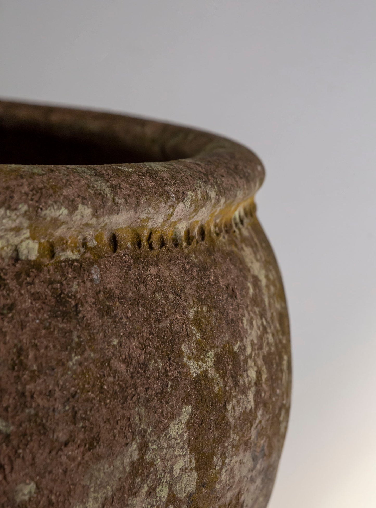 VASIJA MARALPINA DECIMONÓNICA